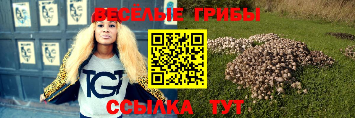 Псилоцибиновые грибы Psilocybine cubensis  Псилоцибиновые грибы ЛСД  магазин  наркотиков  Вход с VPN  Подольск 